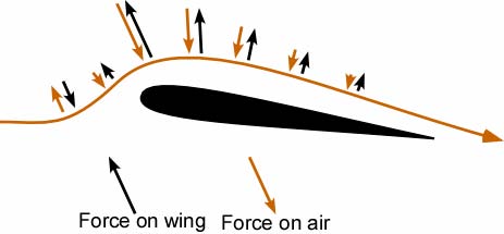 Forces on the air and the corresponding reaction forces on the wing